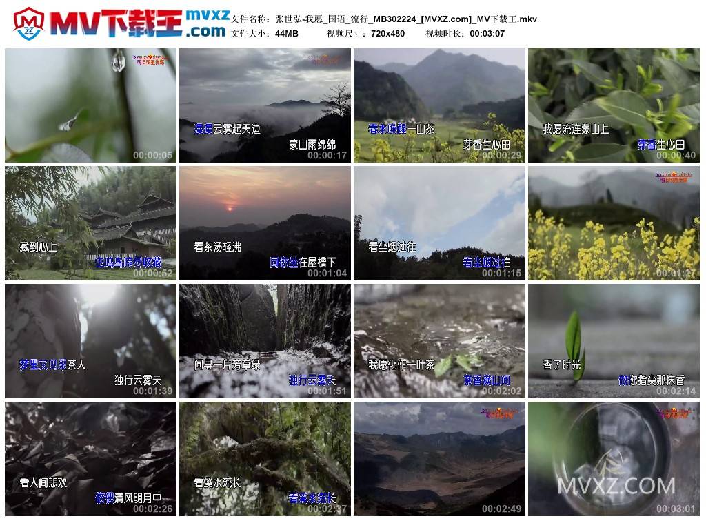 张世弘-我愿_国语_流行_MB302224